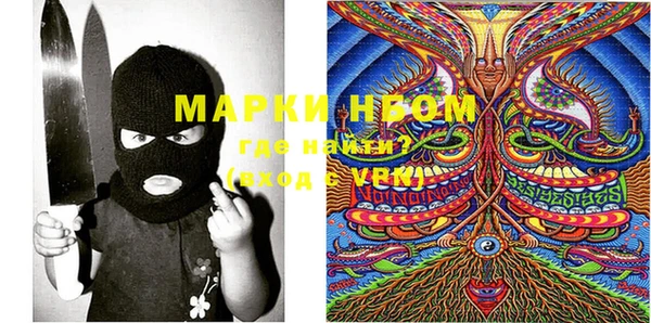 бошки Алексин