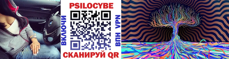 Псилоцибиновые грибы MAGIC MUSHROOMS  маркетплейс как зайти  Рубцовск 