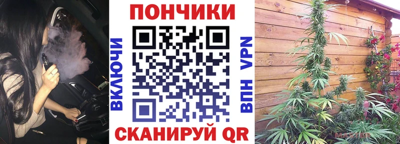 Бошки марихуана марихуана цены наркотик Рубцовск